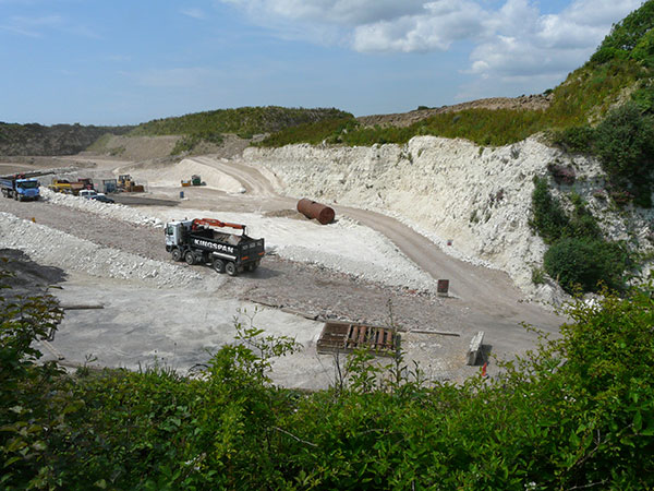 West Sussex Local Geological Sites - Golding Barn Quarry