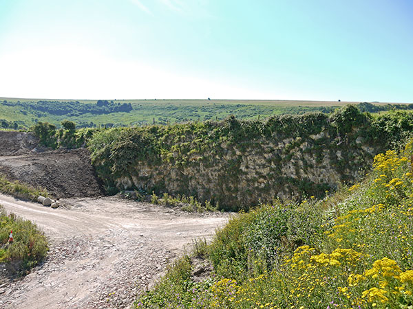 West Sussex Local Geological Sites - Golding Barn Quarry