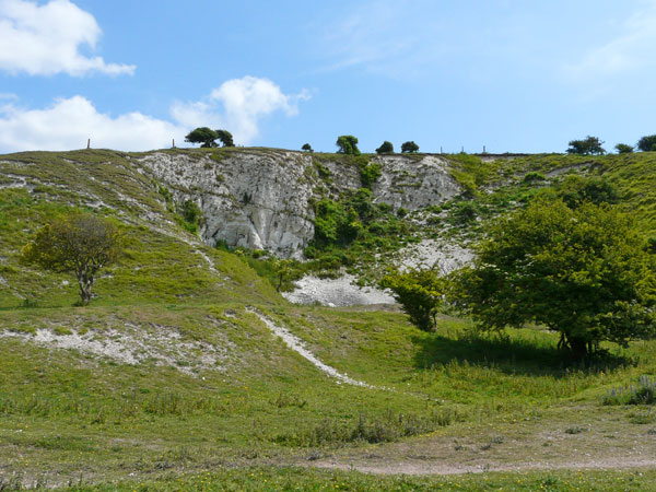 West Sussex Local Geological Sites - Beeding Small Quarry