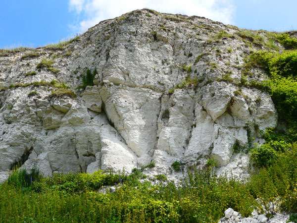 West Sussex Local Geological Sites - Beeding Small Quarry