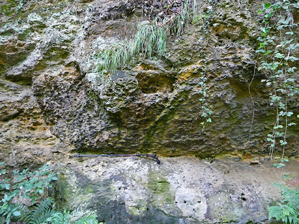 West Sussex Local Geological Sites - Combe Croft Quarry, Henfield