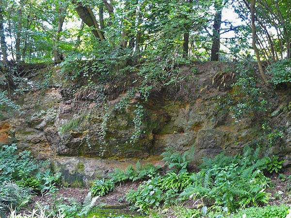West Sussex Local Geological Sites - Combe Croft Quarry, Henfield