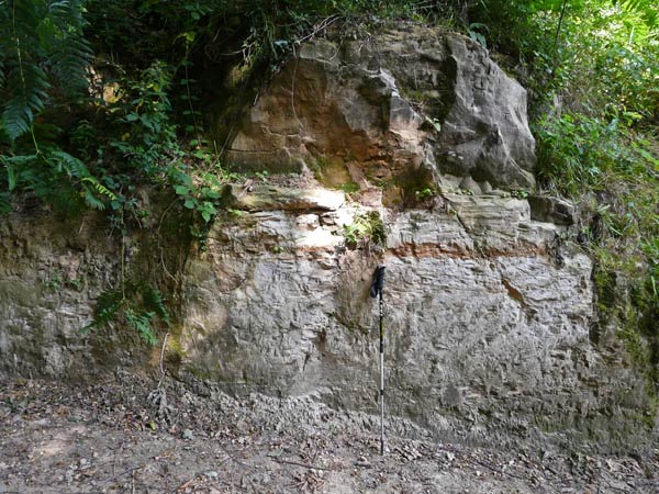 West Sussex Local Geological Sites - Cow Wood