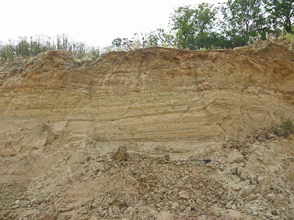 East Sussex Local Geological Sites - Novington Sand Quarry