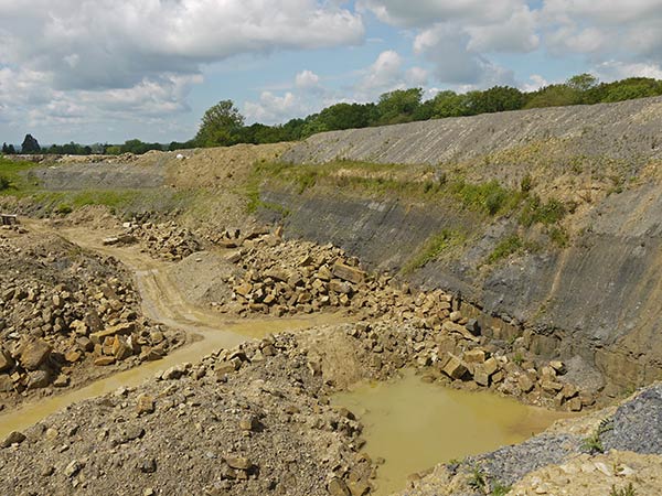West Sussex Local Geological Sites - Philpots Quarry