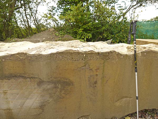 West Sussex Local Geological Sites - Philpots Quarry