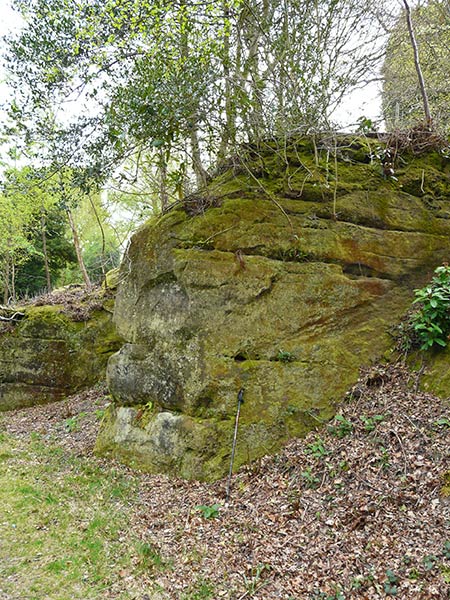 West Sussex Local Geological Sites - Rock Walk, Wakehurst Place
