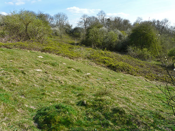West Sussex Local Geological Sites - West Hoathly Landslip