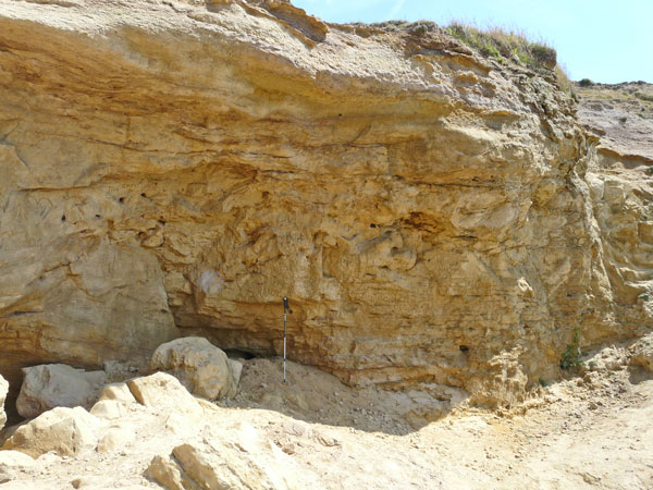 East Sussex Local Geological Sites - Coastal Section Castle Hill to Old Nore Point