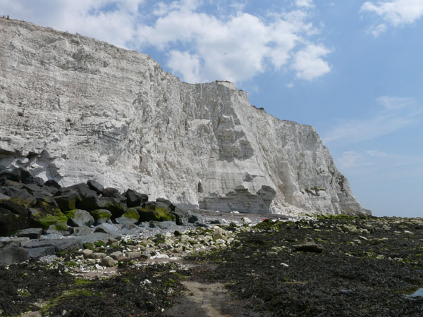 Coastal Section Saltdean to Telscombe Cliffs - near Saltdean