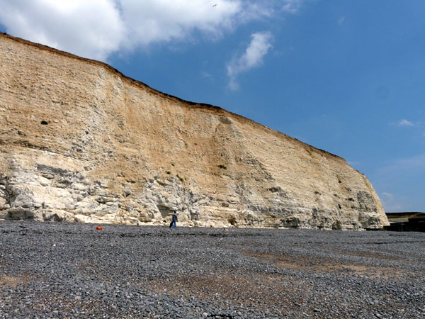 Coastal Section Saltdean to Telscombe Cliffs - Telscombe Cliffs