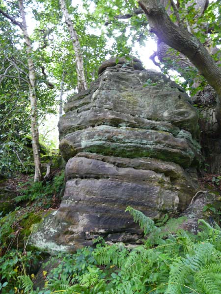 East Sussex Local Geological Sites - Rocks Park