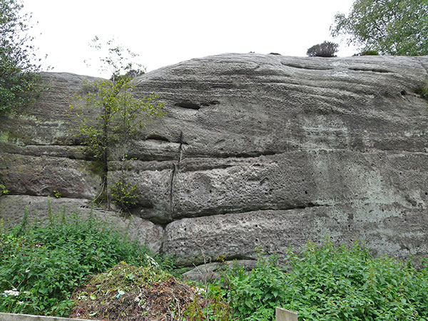 East Sussex Local Geological Sites - The Hermitage, High Hurstwood