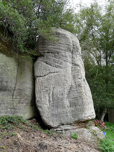 East Sussex Local Geological Sites - The Hermitage, High Hurstwood
