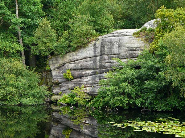 East Sussex Local Geological Sites - Lake Wood Rocks
