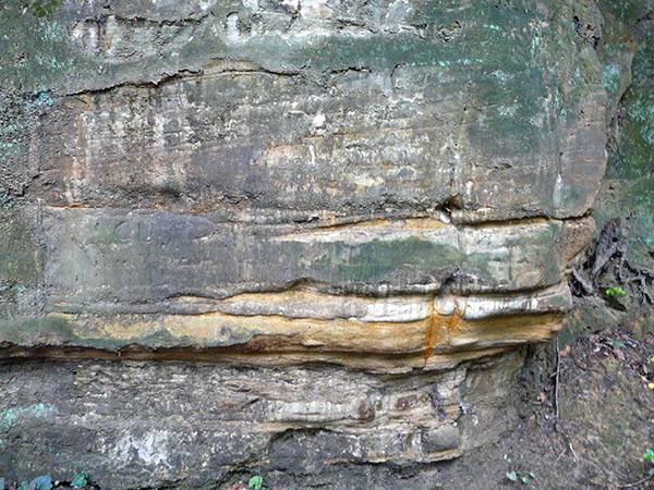 East Sussex Local Geological Sites - Founthill Cutting