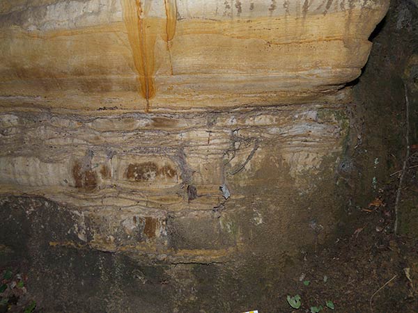 East Sussex Local Geological Sites - Founthill Cutting