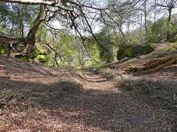West Sussex Local Geological Sites - The Rocks Ashurst Wood