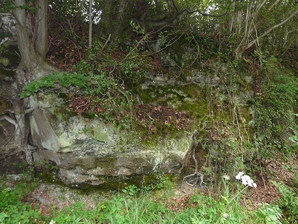 East Sussex Local Geological Sites - Hastingford Cutting