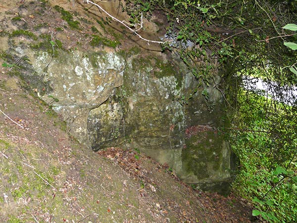 East Sussex Local Geological Sites - Hastingford Cutting