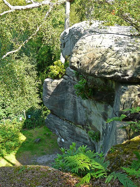 East Sussex Local Geological Sites - High Rocks