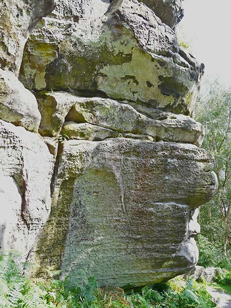 East Sussex Local Geological Sites - Harrison's Rocks