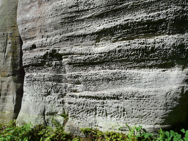 Eridge Rocks - massive sandstone face, bedding detail