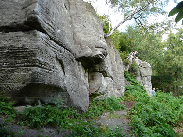 Eridge Rocks - massive sandstone cliffs