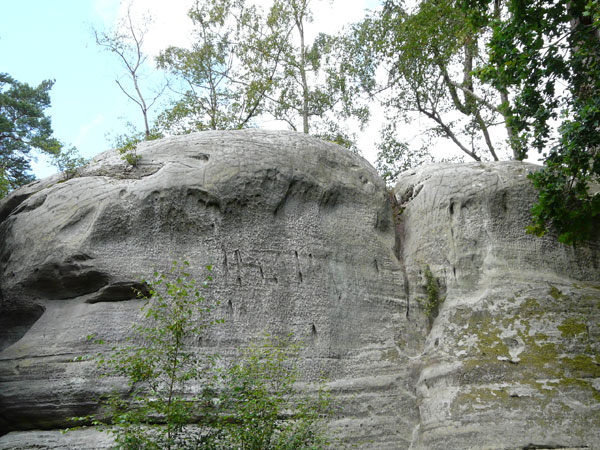 Eridge Rocks - massive sandstone face - honeycomb weathering and polygonal cracks